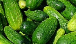 带你吃瓜,揭秘娱乐圈那些不为人知的幕后故事